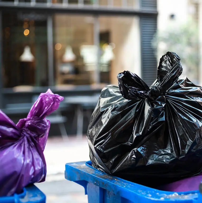 trash bags in trash bins at the curb
